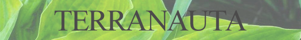 Terranauta