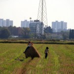 Parco Sud. Tra il dire e il fare…